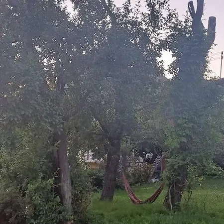 Zum Nussbaum Ferienhaus *