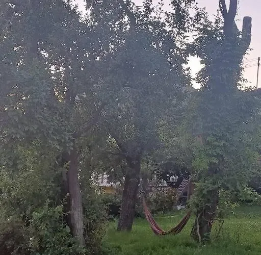 Zum Nussbaum Casa de Férias *